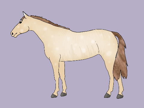 Free Horse