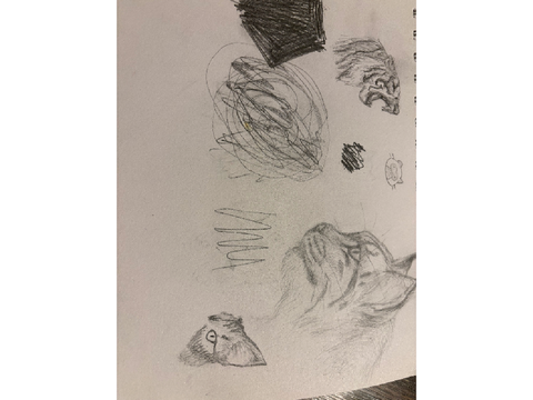 Sketches