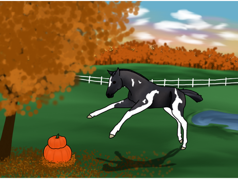 HP autumn art comp entry