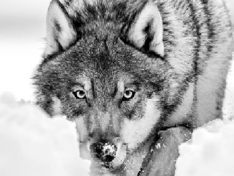 WOLFIE