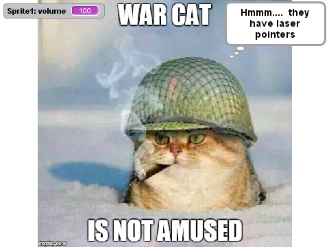 war cat