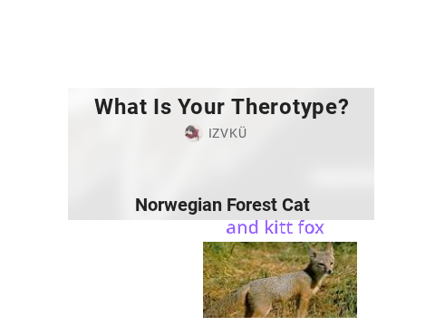 :o