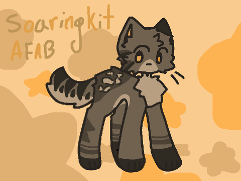 Soaringkit Application <3