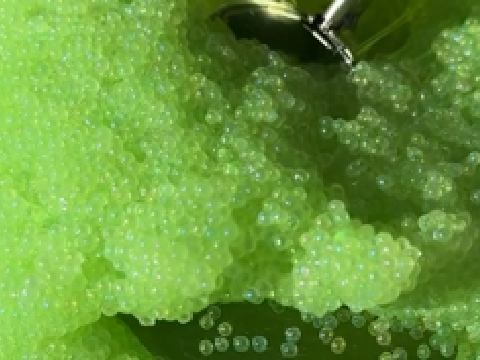 ~ Sequin Slime ASMR ~