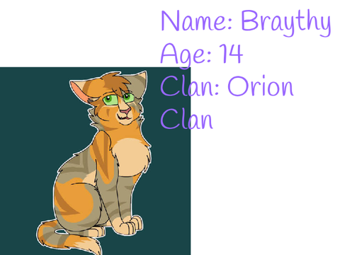 Warrior cats caraktere