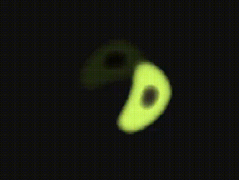 Highest-rate amoeba