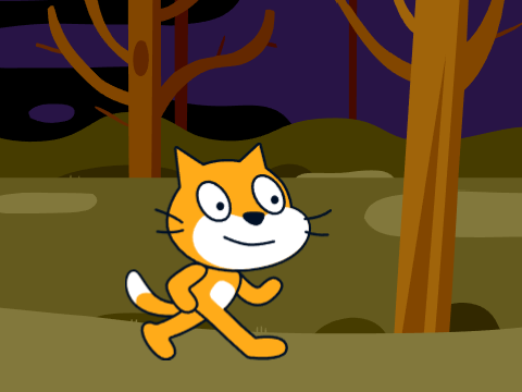 ask scratch cat