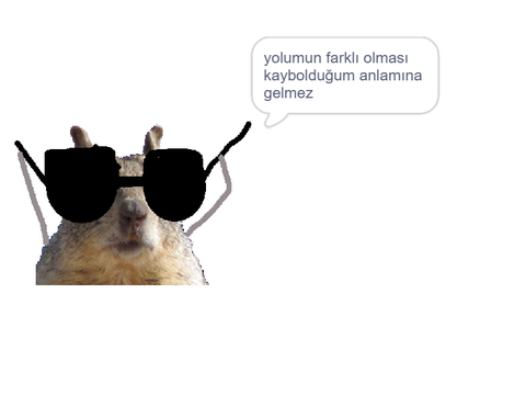 havalı remix