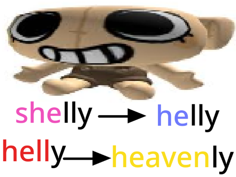 s h e l l y .