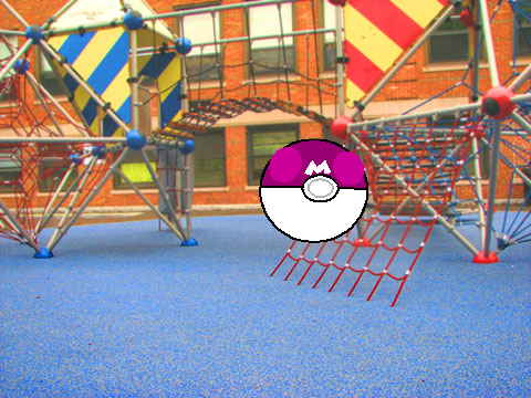 Catching Roota!