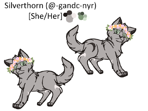 Silverthorn Sim Ref