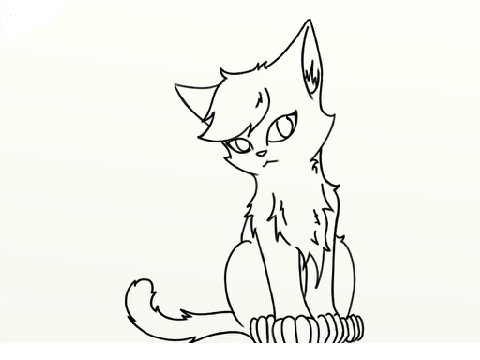 Cat Contest ~OPEN~