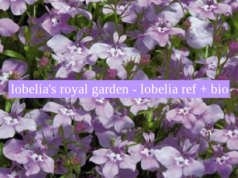 054. lobelia's royal garden - lobelia ref + bio