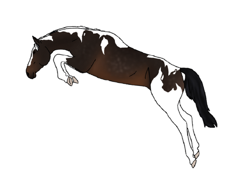 New pose for Jack