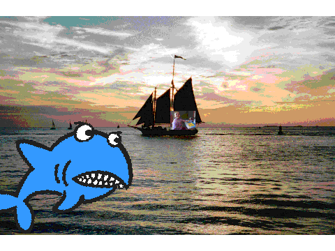 Shark attack2