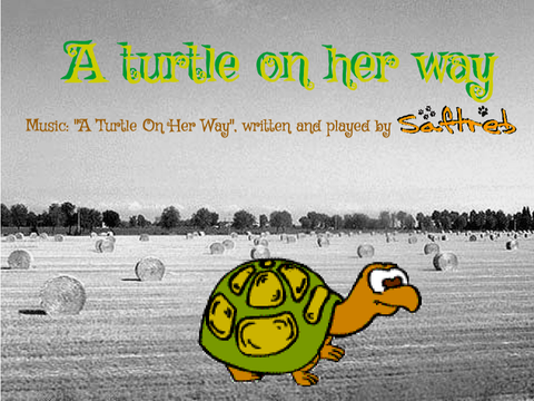 A Turtle On Her Way