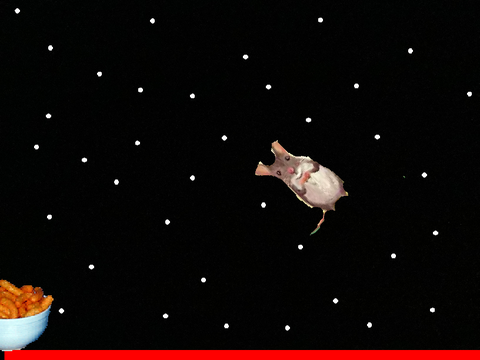 Mouse pong v.1 