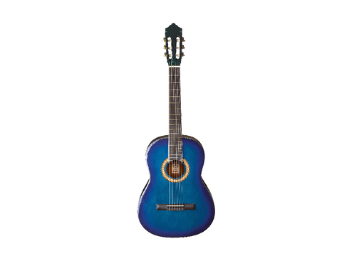 My other guitar i own