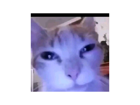 Cat Clicker