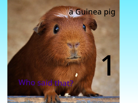 Memes to my top 3 fav animals