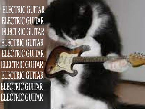 ☆ ELECTRIC GUITARRRR