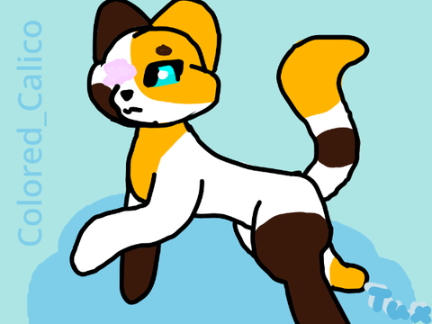 Fanart/Icon for @Colored_Calico