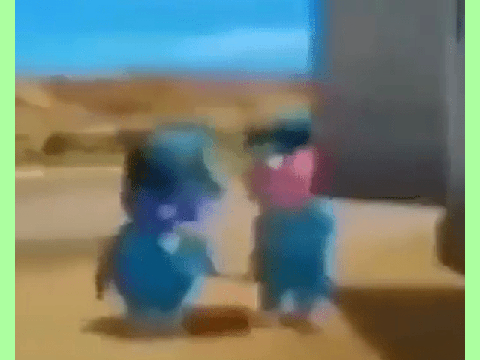 I HAS RETURNED