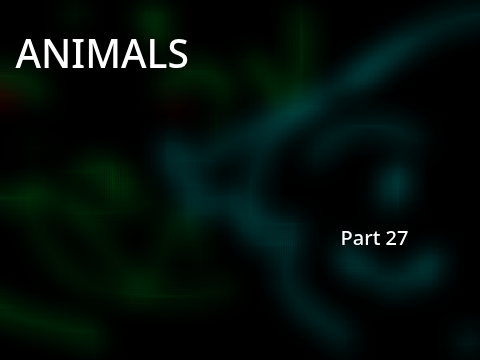 Animals//27