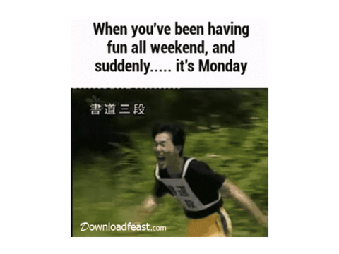Literaly me