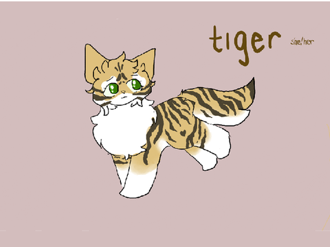  ₊˚⊹ ☼ tiger . . . new oc