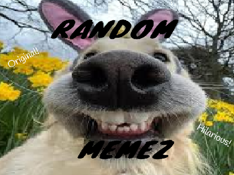 Random Memes