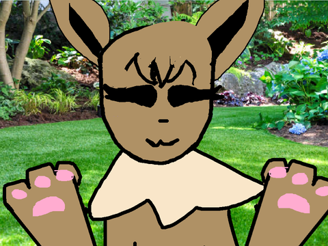 The backyard intro/XD MEME  