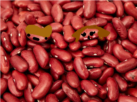 Draw your face on the beans! remix