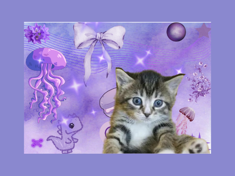 PURPLE MOOD BOARD
