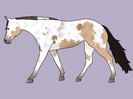 Another Horse Saleee!!