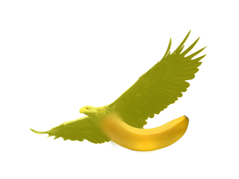 Baneagle.