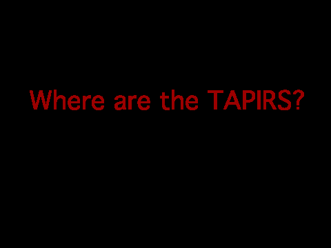 Where are the tapirs?