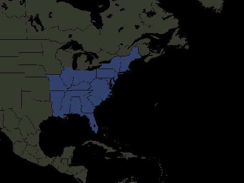 Territory of the New American Union