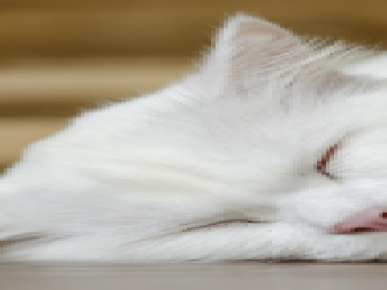 Cat 2