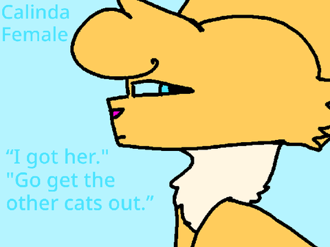 Cats of the Wild Voice Auditions:3 remix
