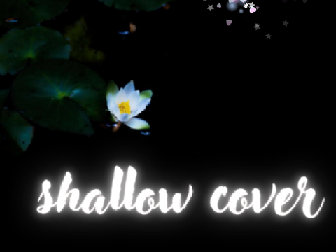 Shallow | Cover