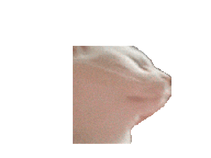Remix edit template edit what ever you want