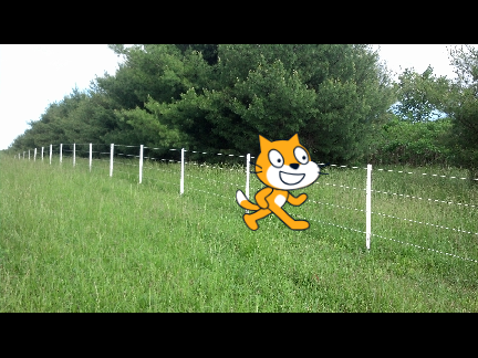 How to Touch the Electric Fence