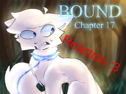 ☆*☆Bound - Chapter 17 Reaction☆*☆