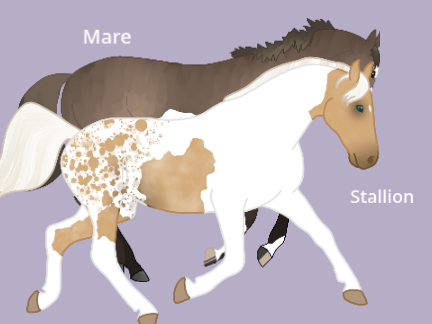 Breedings (Maybe)
