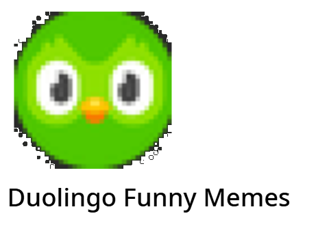 Duolingo Funny Memes