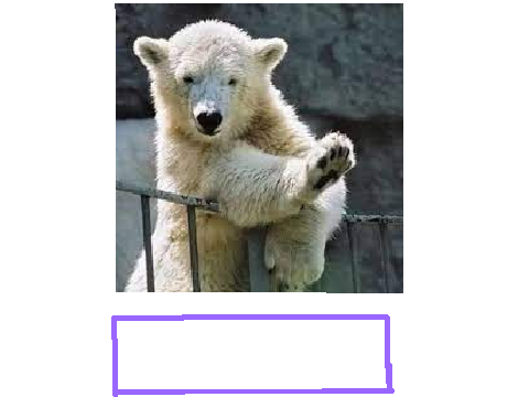 写真でボケて