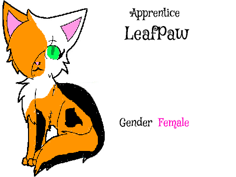 Warrior Cats