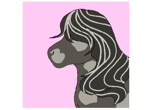 30ish questions for equestrians! remix