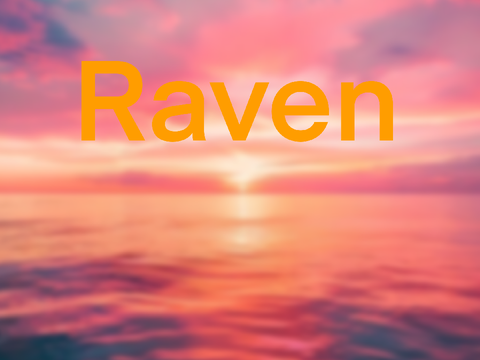 Willow Creek Equestrian | Raven
